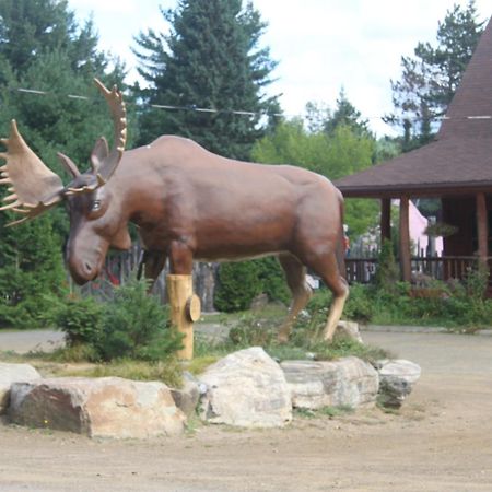 L'Auberge Refuge Du Trappeur Saint-Mathieu-du-Parc Eksteriør billede