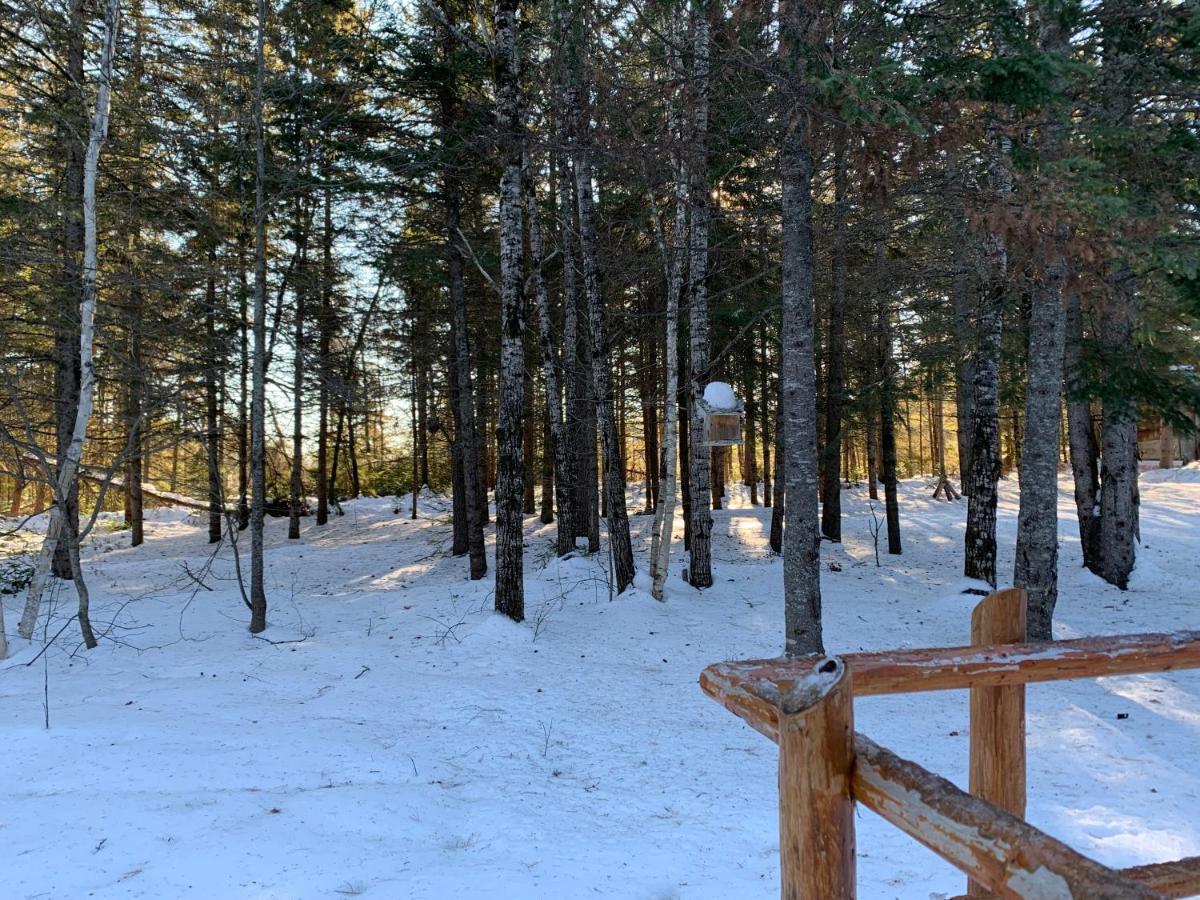 L'Auberge Refuge Du Trappeur Saint-Mathieu-du-Parc Eksteriør billede
