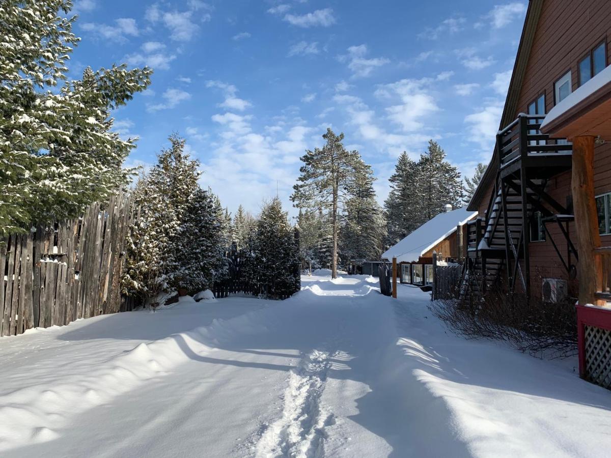 L'Auberge Refuge Du Trappeur Saint-Mathieu-du-Parc Eksteriør billede