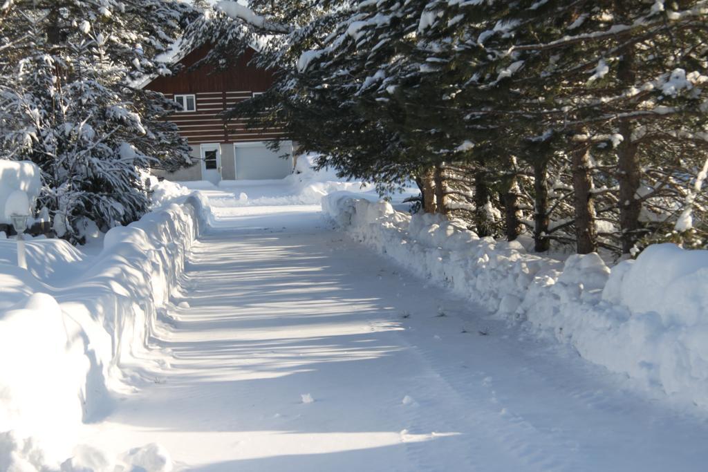 L'Auberge Refuge Du Trappeur Saint-Mathieu-du-Parc Eksteriør billede